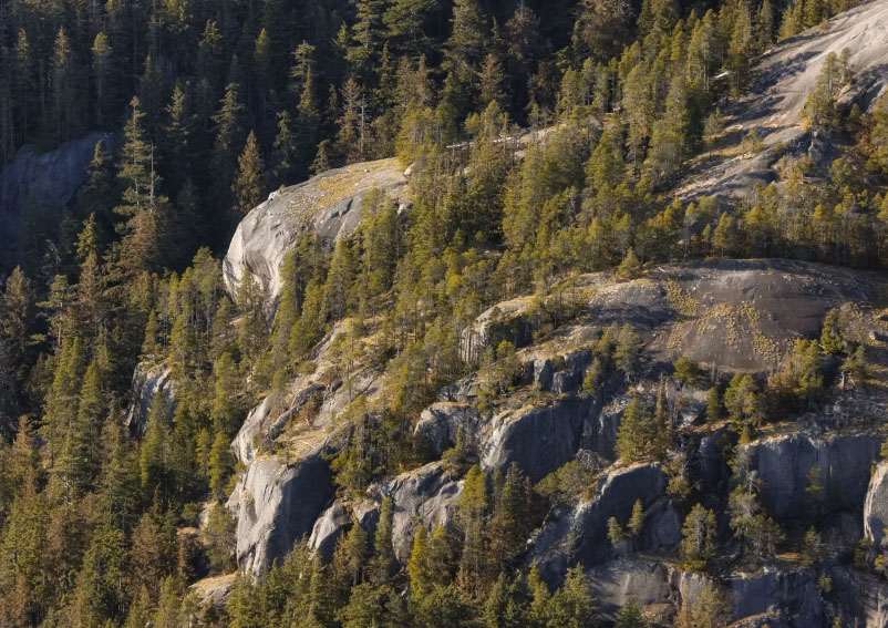 562cc2_2698c490c2074582928ae27f34297d5f~mv2